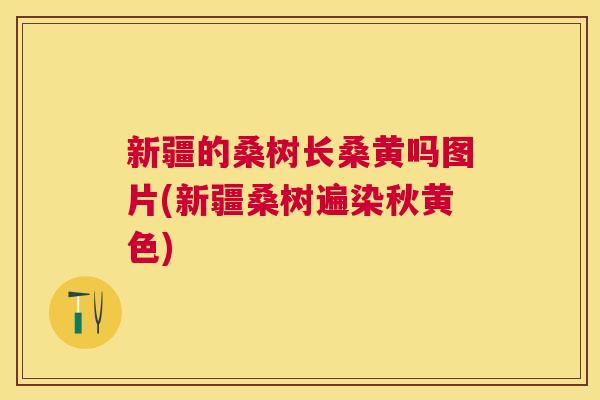 新疆的桑树长桑黄吗图片(新疆桑树遍染秋黄色) 新疆的桑树长桑黄吗图片(新疆桑树遍染秋黄色)