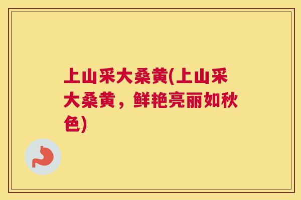 上山采大桑黄(上山采大桑黄,鲜艳亮丽如秋色) 上山采大桑黄(上山采大桑黄,鲜艳亮丽如秋色)