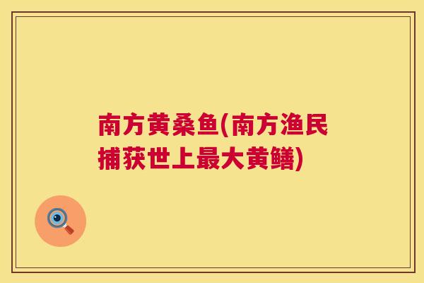 南方黄桑鱼(南方渔民捕获世上大黄鳝) 南方黄桑鱼(南方渔民捕获世上大黄鳝)