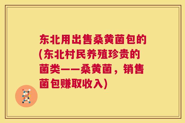 东北用出售桑黄菌包的(东北村民养殖珍贵的菌类——桑黄菌,销售菌包赚取收入) 东北用出售桑黄菌包的(东北村民养殖珍贵的菌类——桑黄菌,销售菌包赚取收入)