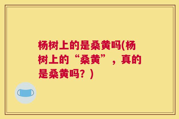 杨树上的是桑黄吗(杨树上的“桑黄”,真的是桑黄吗?) 杨树上的是桑黄吗(杨树上的“桑黄”,真的是桑黄吗?)