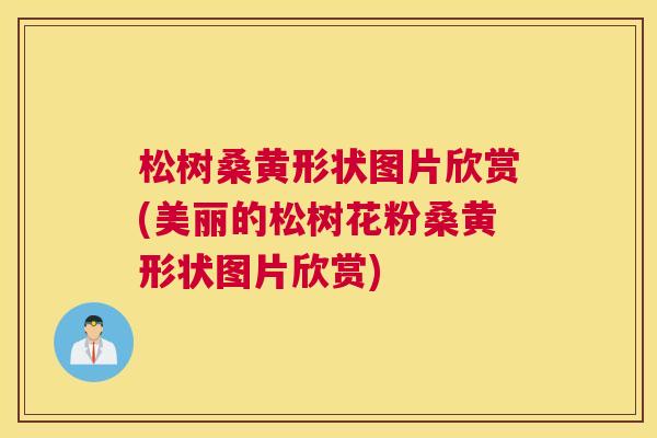 松树桑黄形状图片欣赏(美丽的松树花粉桑黄形状图片欣赏) 松树桑黄形状图片欣赏(美丽的松树花粉桑黄形状图片欣赏)