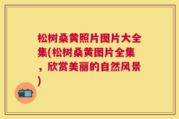松树桑黄照片图片大全集(松树桑黄图片全集,欣赏美丽的自然风景) 松树桑黄照片图片大全集(松树桑黄图片全集,欣赏美丽的自然风景)
