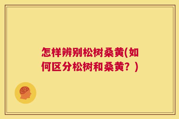 怎样辨别松树桑黄(如何区分松树和桑黄?) 怎样辨别松树桑黄(如何区分松树和桑黄?)