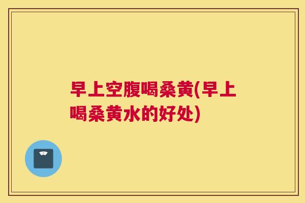 早上空腹喝桑黄(早上喝桑黄水的好处)