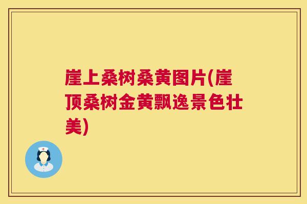 崖上桑树桑黄图片(崖顶桑树金黄飘逸景色壮美) 崖上桑树桑黄图片(崖顶桑树金黄飘逸景色壮美)