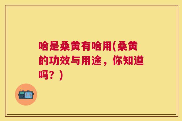 啥是桑黄有啥用(桑黄的功效与用途,你知道吗?) 啥是桑黄有啥用(桑黄的功效与用途,你知道吗?)