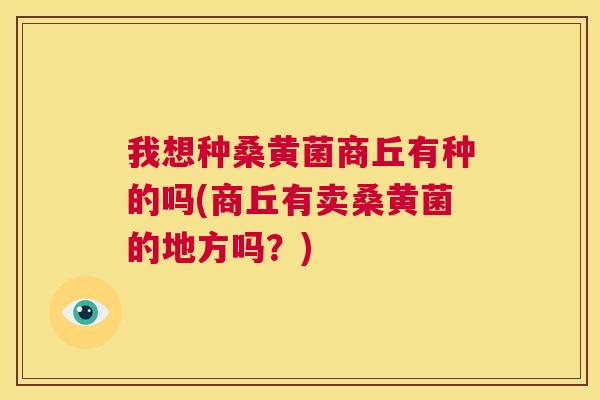我想种桑黄菌商丘有种的吗(商丘有卖桑黄菌的地方吗?) 我想种桑黄菌商丘有种的吗(商丘有卖桑黄菌的地方吗?)