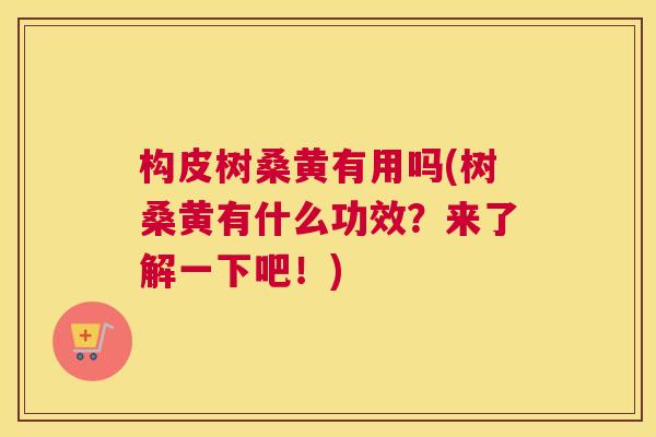 构皮树桑黄有用吗(树桑黄有什么功效?来了解一下吧!) 构皮树桑黄有用吗(树桑黄有什么功效?来了解一下吧!)