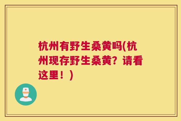 杭州有野生桑黄吗(杭州现存野生桑黄?请看这里!) 杭州有野生桑黄吗(杭州现存野生桑黄?请看这里!)