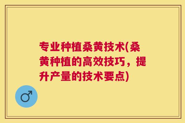 专业种植桑黄技术(桑黄种植的高效技巧,提升产量的技术要点) 专业种植桑黄技术(桑黄种植的高效技巧,提升产量的技术要点)