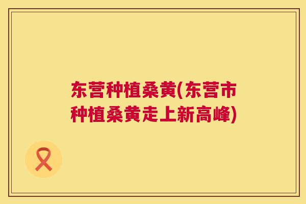东营种植桑黄(东营市种植桑黄走上新高峰) 东营种植桑黄(东营市种植桑黄走上新高峰)