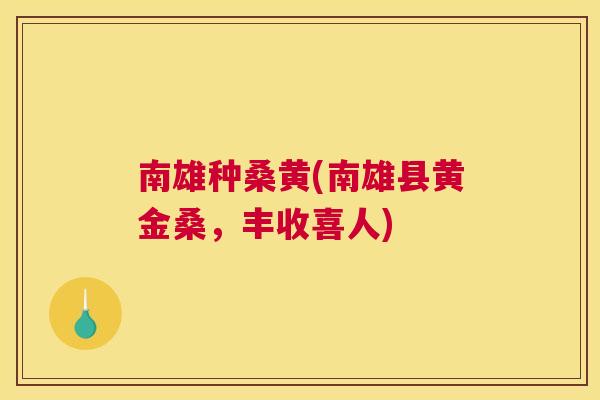 南雄种桑黄(南雄县黄金桑，丰收喜人)