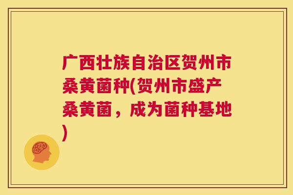广西壮族自区贺州市桑黄菌种(贺州市盛产桑黄菌,成为菌种基地) 广西壮族自区贺州市桑黄菌种(贺州市盛产桑黄菌,成为菌种基地)