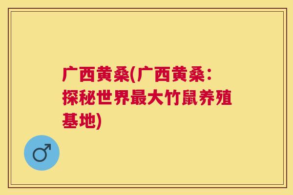 广西黄桑(广西黄桑:探秘世界大竹鼠养殖基地) 广西黄桑(广西黄桑:探秘世界大竹鼠养殖基地)