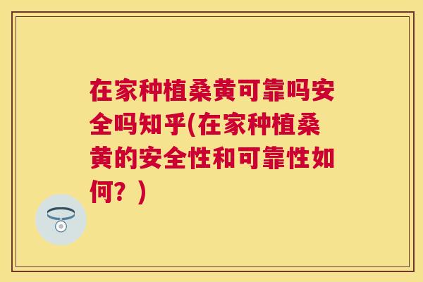 在家种植桑黄可靠吗安全吗知乎(在家种植桑黄的安全性和可靠性如何?) 在家种植桑黄可靠吗安全吗知乎(在家种植桑黄的安全性和可靠性如何?)