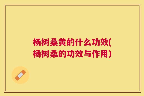 杨树桑黄的什么功效(杨树桑的功效与作用)