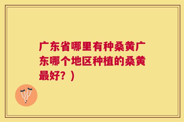 广东省哪里有种桑黄广东哪个地区种植的桑黄好?) 广东省哪里有种桑黄广东哪个地区种植的桑黄好?)