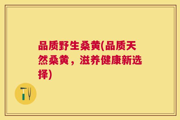 品质野生桑黄(品质天然桑黄,滋养健康新选择) 品质野生桑黄(品质天然桑黄,滋养健康新选择)