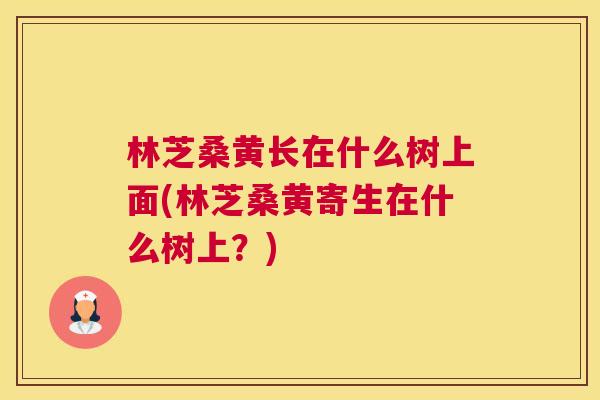 林芝桑黄长在什么树上面(林芝桑黄寄生在什么树上?) 林芝桑黄长在什么树上面(林芝桑黄寄生在什么树上?)