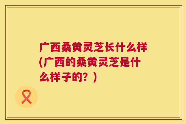 广西桑黄灵芝长什么样(广西的桑黄灵芝是什么样子的?) 广西桑黄灵芝长什么样(广西的桑黄灵芝是什么样子的?)