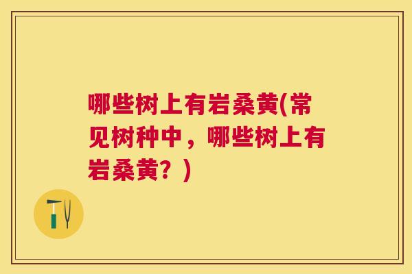 哪些树上有岩桑黄(常见树种中,哪些树上有岩桑黄?) 哪些树上有岩桑黄(常见树种中,哪些树上有岩桑黄?)