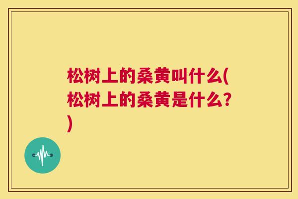 松树上的桑黄叫什么(松树上的桑黄是什么?) 松树上的桑黄叫什么(松树上的桑黄是什么?)
