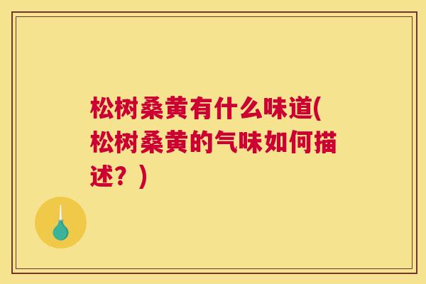 松树桑黄有什么味道(松树桑黄的气味如何描述?) 松树桑黄有什么味道(松树桑黄的气味如何描述?)