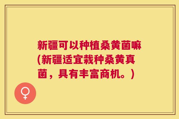 新疆可以种植桑黄菌嘛(新疆适宜栽种桑黄真菌，具有丰富商机。)