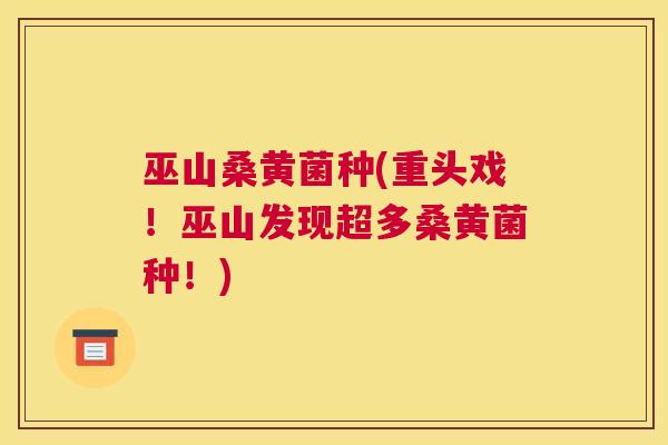 巫山桑黄菌种(重头戏!巫山发现超多桑黄菌种!) 巫山桑黄菌种(重头戏!巫山发现超多桑黄菌种!)