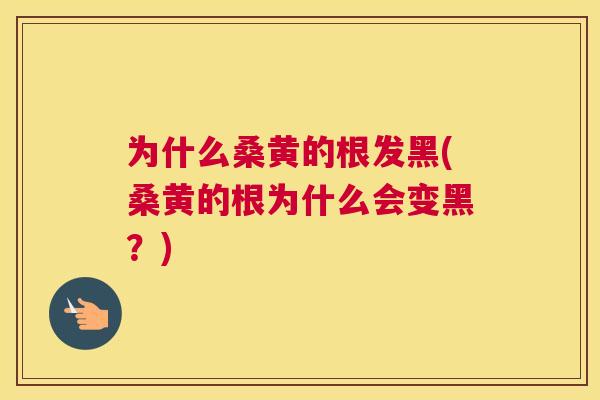 为什么桑黄的根发黑(桑黄的根为什么会变黑?) 为什么桑黄的根发黑(桑黄的根为什么会变黑?)