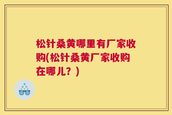 松针桑黄哪里有厂家收购(松针桑黄厂家收购在哪儿?) 松针桑黄哪里有厂家收购(松针桑黄厂家收购在哪儿?)
