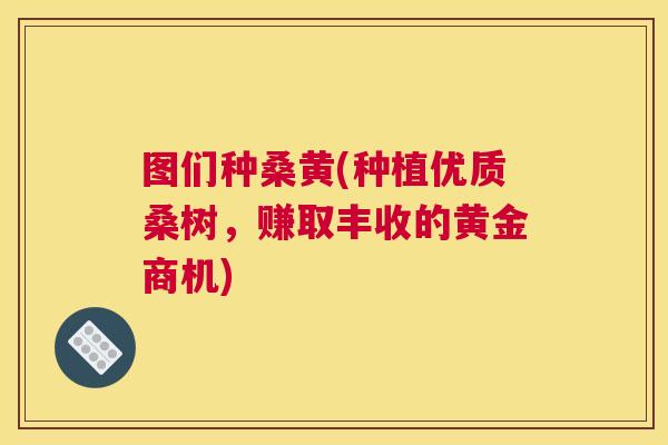 图们种桑黄(种植优质桑树,赚取丰收的黄金商机) 图们种桑黄(种植优质桑树,赚取丰收的黄金商机)