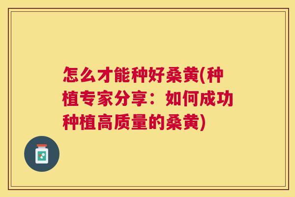 怎么才能种好桑黄(种植专家分享:如何成功种植高质量的桑黄) 怎么才能种好桑黄(种植专家分享:如何成功种植高质量的桑黄)