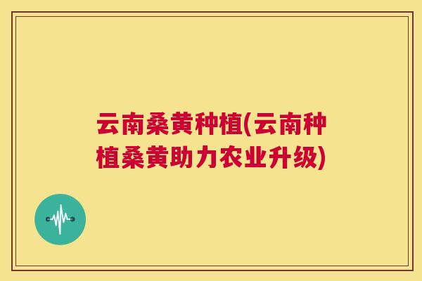 云南桑黄种植(云南种植桑黄助力农业升级) 云南桑黄种植(云南种植桑黄助力农业升级)