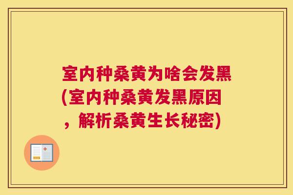 室内种桑黄为啥会发黑(室内种桑黄发黑原因,解析桑黄生长秘密) 室内种桑黄为啥会发黑(室内种桑黄发黑原因,解析桑黄生长秘密)