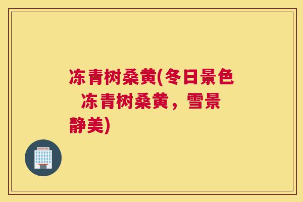 冻青树桑黄(冬日景色 冻青树桑黄,雪景静美) 冻青树桑黄(冬日景色 冻青树桑黄,雪景静美)