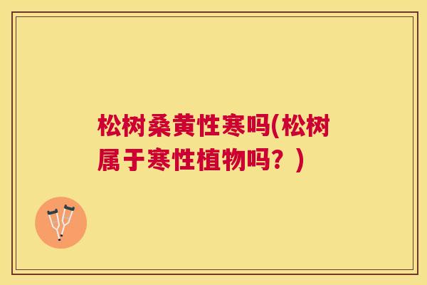 松树桑黄性寒吗(松树属于寒性植物吗?) 松树桑黄性寒吗(松树属于寒性植物吗?)