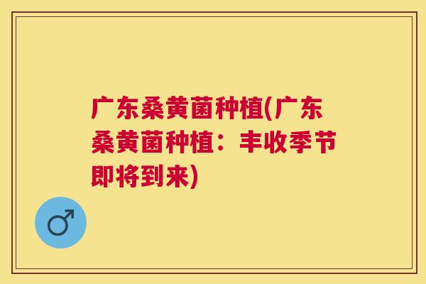 广东桑黄菌种植(广东桑黄菌种植:丰收季节即将到来) 广东桑黄菌种植(广东桑黄菌种植:丰收季节即将到来)