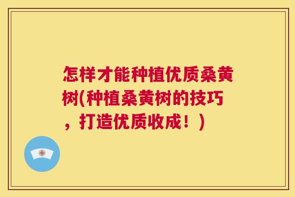 怎样才能种植优质桑黄树(种植桑黄树的技巧,打造优质收成!) 怎样才能种植优质桑黄树(种植桑黄树的技巧,打造优质收成!)