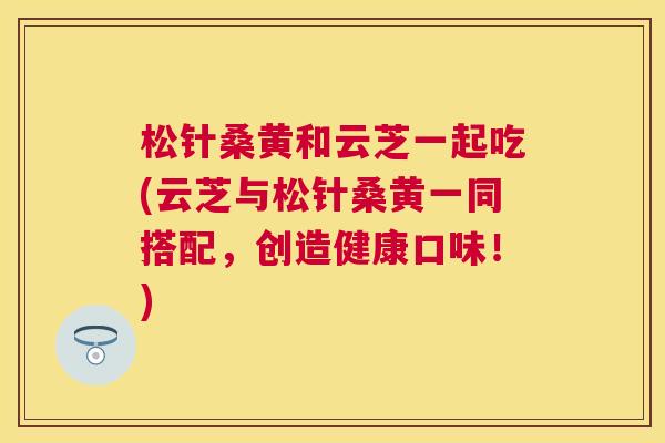 松针桑黄和云芝一起吃(云芝与松针桑黄一同搭配,创造健康口味!) 松针桑黄和云芝一起吃(云芝与松针桑黄一同搭配,创造健康口味!)