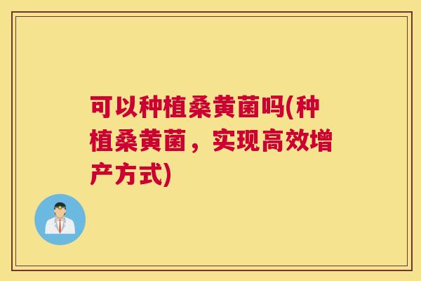 可以种植桑黄菌吗(种植桑黄菌,实现高效增产方式) 可以种植桑黄菌吗(种植桑黄菌,实现高效增产方式)