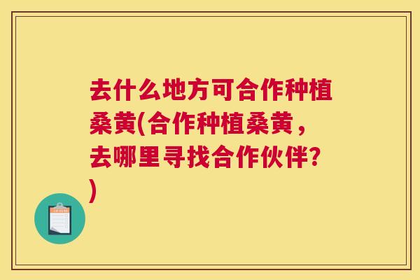 去什么地方可合作种植桑黄(合作种植桑黄,去哪里寻找合作伙伴?) 去什么地方可合作种植桑黄(合作种植桑黄,去哪里寻找合作伙伴?)