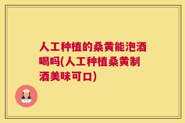 人工种植的桑黄能泡酒喝吗(人工种植桑黄制酒美味可口) 人工种植的桑黄能泡酒喝吗(人工种植桑黄制酒美味可口)