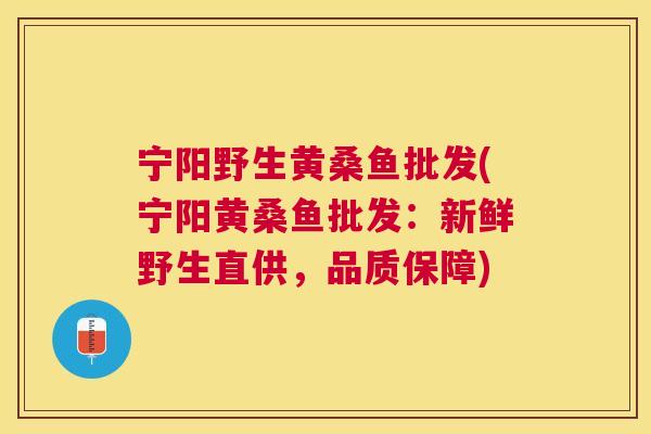 宁阳野生黄桑鱼批发(宁阳黄桑鱼批发:新鲜野生直供,品质保障) 宁阳野生黄桑鱼批发(宁阳黄桑鱼批发:新鲜野生直供,品质保障)