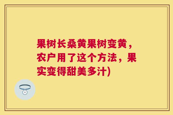 果树长桑黄果树变黄,农户用了这个方法,果实变得甜美多汁) 果树长桑黄果树变黄,农户用了这个方法,果实变得甜美多汁)