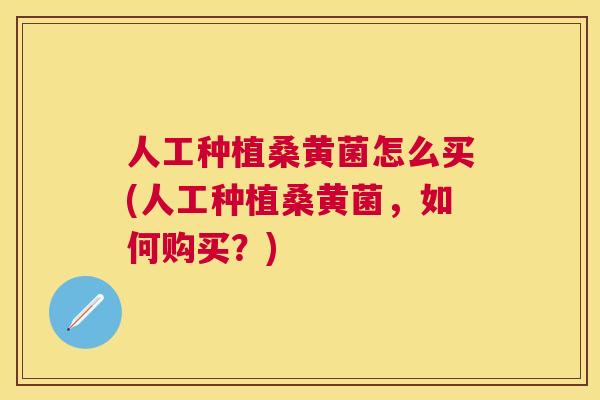 人工种植桑黄菌怎么买(人工种植桑黄菌,如何购买?) 人工种植桑黄菌怎么买(人工种植桑黄菌,如何购买?)