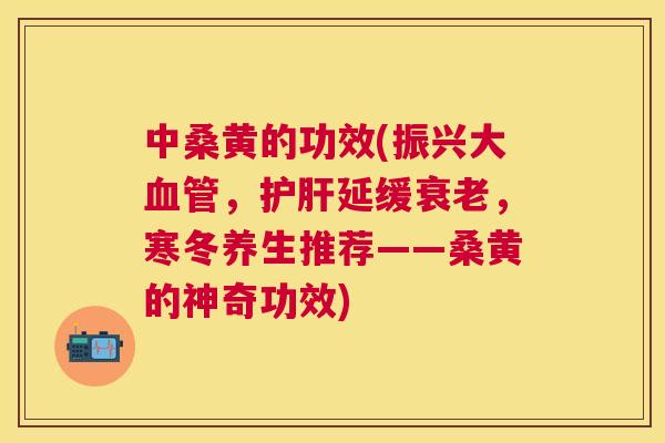 中桑黄的功效(振兴大,延缓,寒冬养生推荐——桑黄的神奇功效) 中桑黄的功效(振兴大,延缓,寒冬养生推荐——桑黄的神奇功效)