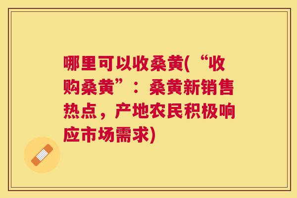 哪里可以收桑黄(“收购桑黄”:桑黄新销售热点,产地农民积极响应市场需求) 哪里可以收桑黄(“收购桑黄”:桑黄新销售热点,产地农民积极响应市场需求)