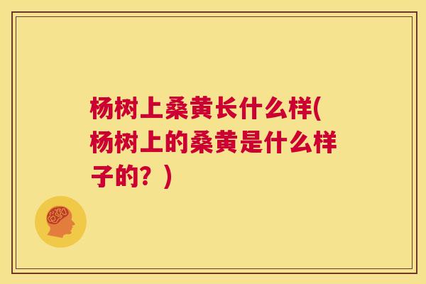 杨树上桑黄长什么样(杨树上的桑黄是什么样子的？)